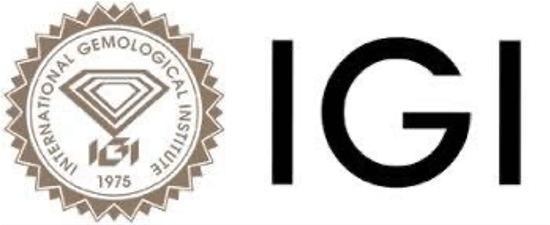 igi-home-page-logo-2