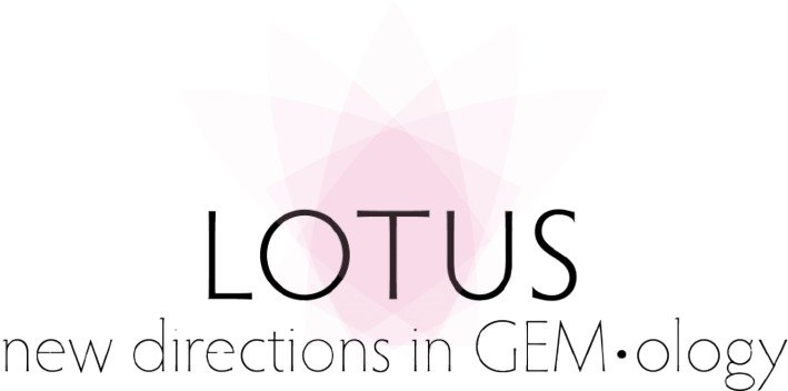 lotus-home-page-logo-3